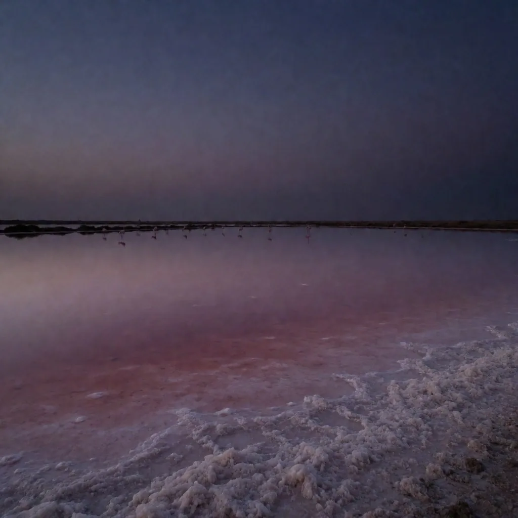 Coastal salt lagoon at twilight with wading birds